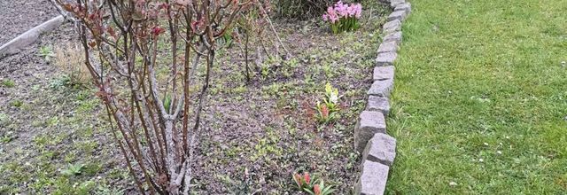 BYE-BYE LE SABLE BONJOUR LE JARDIN 