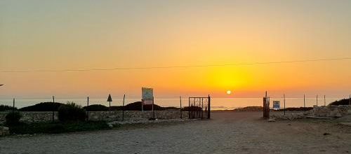 Son soleil nous manque