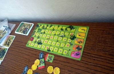 Soirée du 28 juin 2015