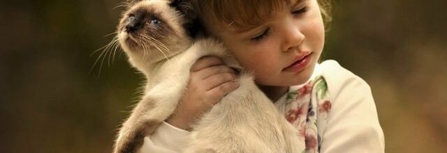 Le sommeil des enfants