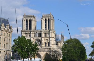 Notre-Dame de Paris : Une bâche pour la protéger de la pluie
