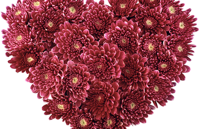 fleurs