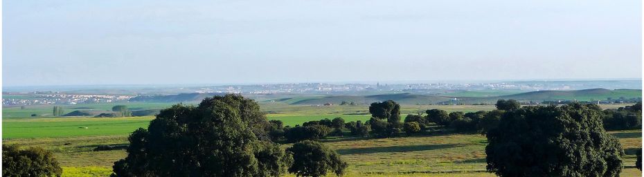 La Via de la Plata #7 Salamanque