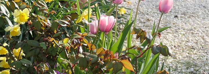 Un retour printanier