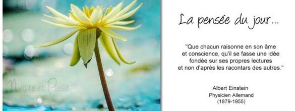 La pensée du jour (128)