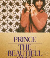 Free ebooks download in text format The Beautiful Ones (English literature)