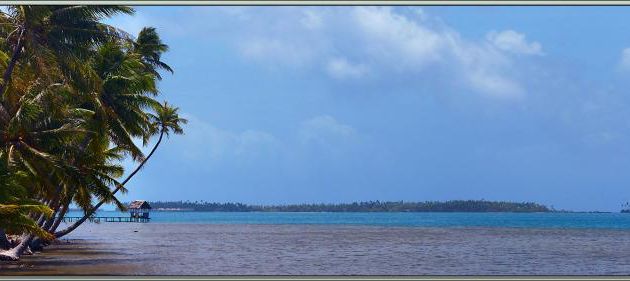 Le motu Tautau avec l'hôtel Taha'a Private Island & Spa, un hôtel "à touristes friqués" - Taha'a - Polynésie française