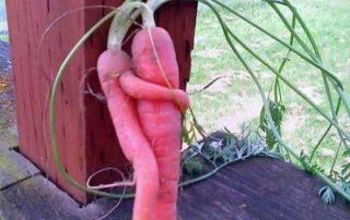 Photo La nature aussi aime !