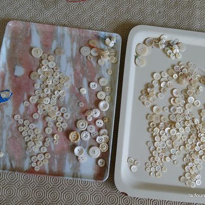 Que devient la fourmi ?