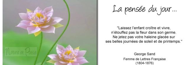 La pensée du jour (178)