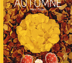 Marc Pouyet - Land art d'automne (1/3) 