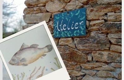 Aquarelle / Les ateliers de Suzanne Mey