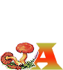 Alphabet champignons feuilles
