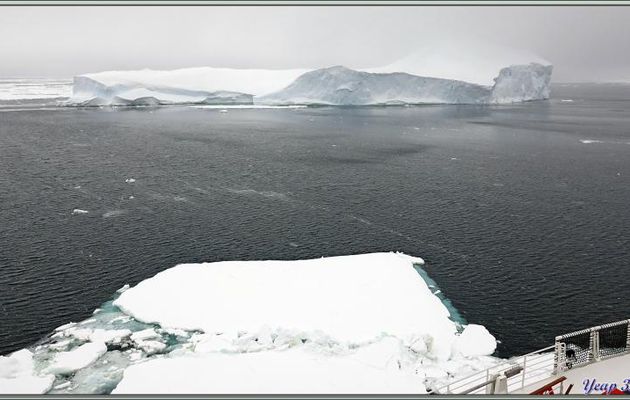 04/03/2022 suite et fin : la journée continue avec peu à se mettre sous les yeux et dans la boîte à images et se termine par un stop contre la banquise - Mer d'Amundsen - Antarctique