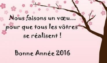 BONNE ANNÉE 2016