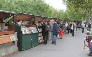 La lecture en baisse chez les Français ?
