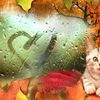 Fond d'écran AUTOMNE