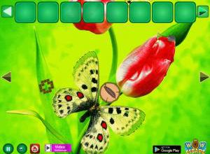 Friends butterfly escape soluce