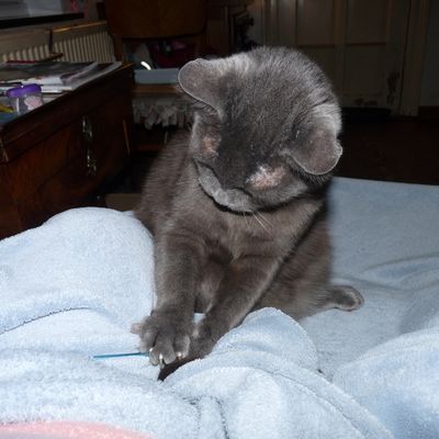 Pas d'aurores Boréales mais un nuage irdescent