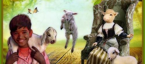  Les moutons 