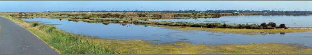 Balade à vélo vers les Portes-en-Ré : panorama sur des marais - Île de Ré - 17