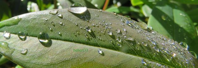 Mes gouttes du 01 Mai 