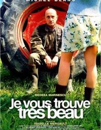 Je vous trouve très beau