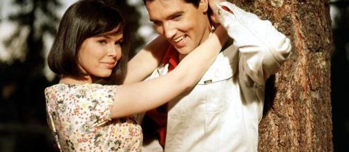 photo elvis