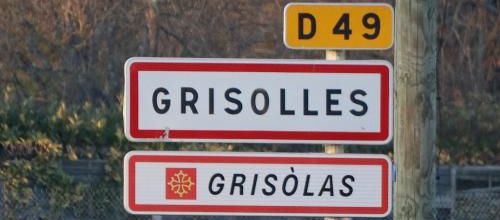 GRISOLLES (82)