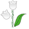 758 - 758A - En voiture - Couple 1er mai, muguet 