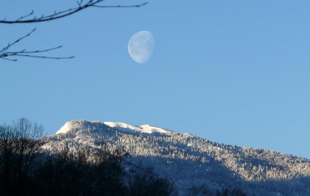 Paysages des Pyrénées (Année 2009)