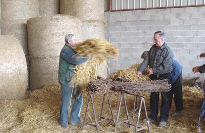 Le secret de la construction du roi des Chienlits..