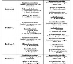Prog. CE2-CM1