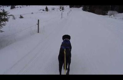 Quand la neige existait encore : souvenirs.