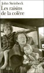 Les raisins de la colère, John STEINBECK