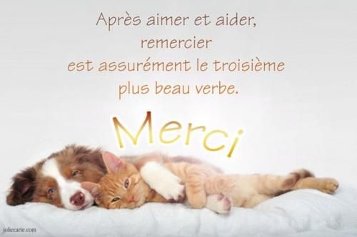 Mon jardin est tout "jaune"