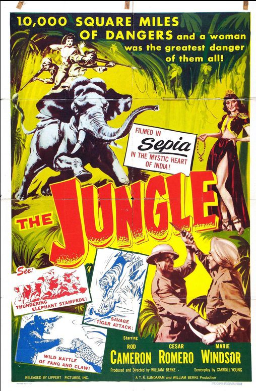 THE JUNGLE BOX OFFICE USA 1952