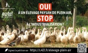 Oui à un élevage paysan de plein air !
