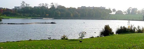 Toujours dans mon parc...