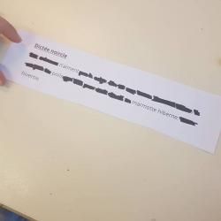 Dictée noircie
