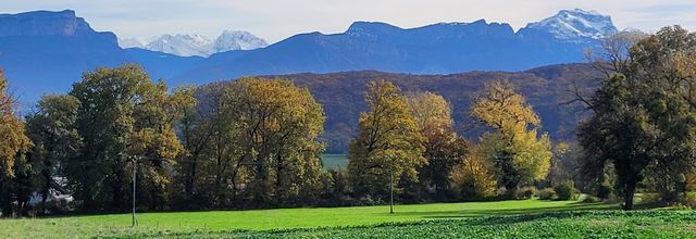 CR rando mercredi 29 octobre 2025: boucle autour de Sillingy