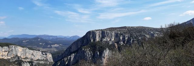 Sur la route des vautours !