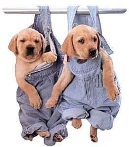 Plein d'amitié dans ma boite