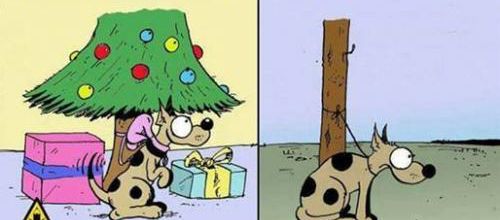 Un animal n'est pas un cadeau !