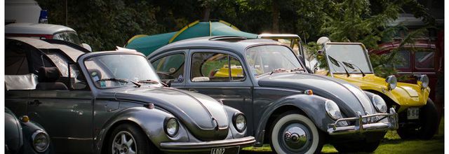 Meeting des Roswell's - Vihiers 2014