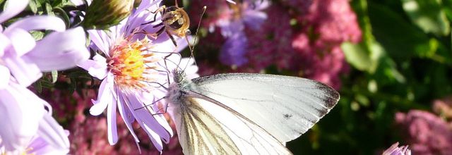 Oeuvres d'art en septembre 