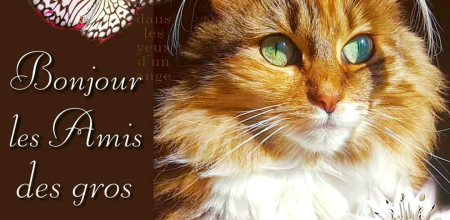 16 ans sur la Blogosphère