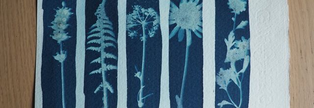 La technique du cyanotype