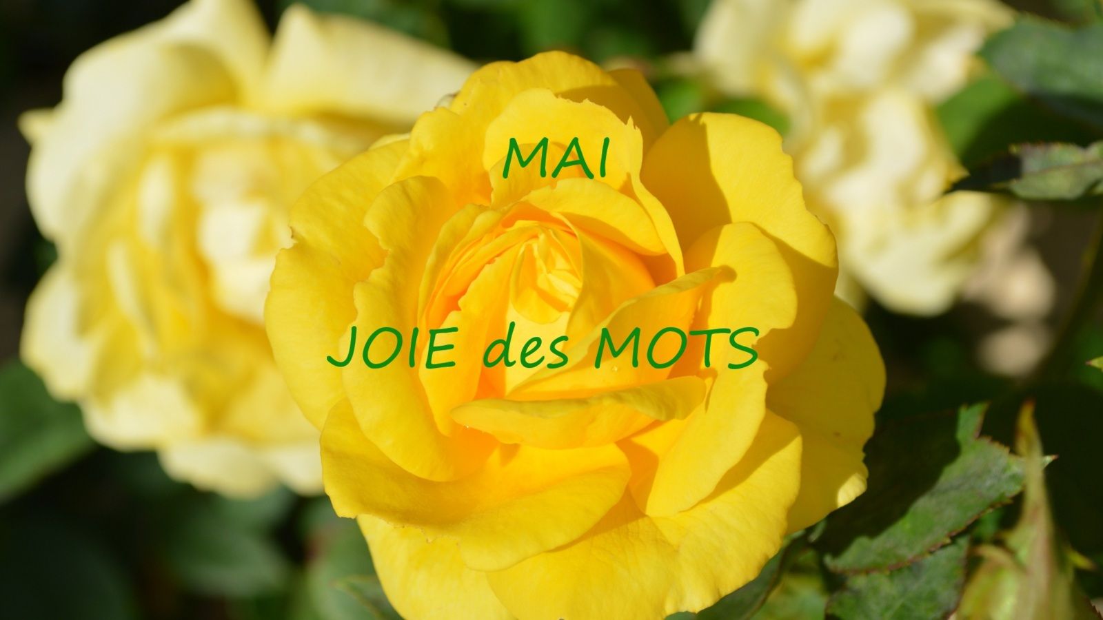 Header cover