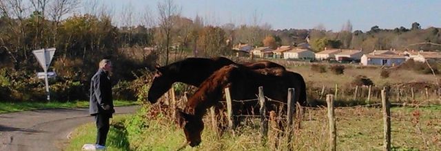 rencontre au cours de notre balade